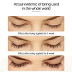 MCD Eyelash Growth Serum